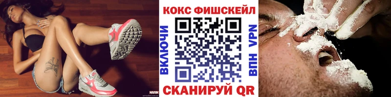 купить наркоту  Вилюйск  Cocaine FishScale 