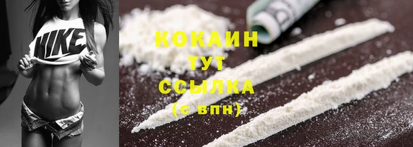 2c-b Бородино