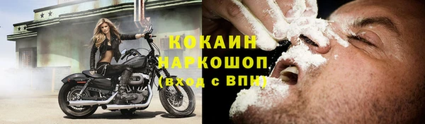 2c-b Бородино
