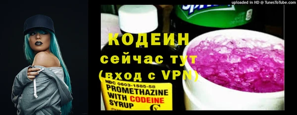 2c-b Бородино