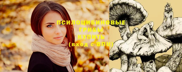 прущая мука Бронницы